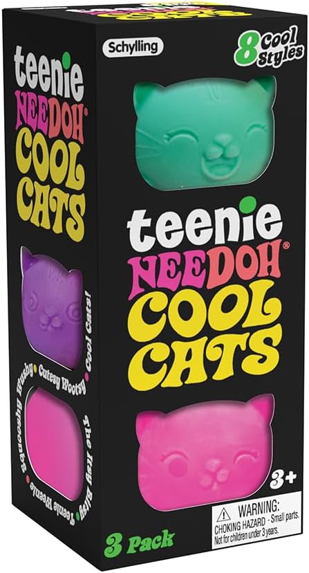 Schylling NeeDoh Fidget Toy