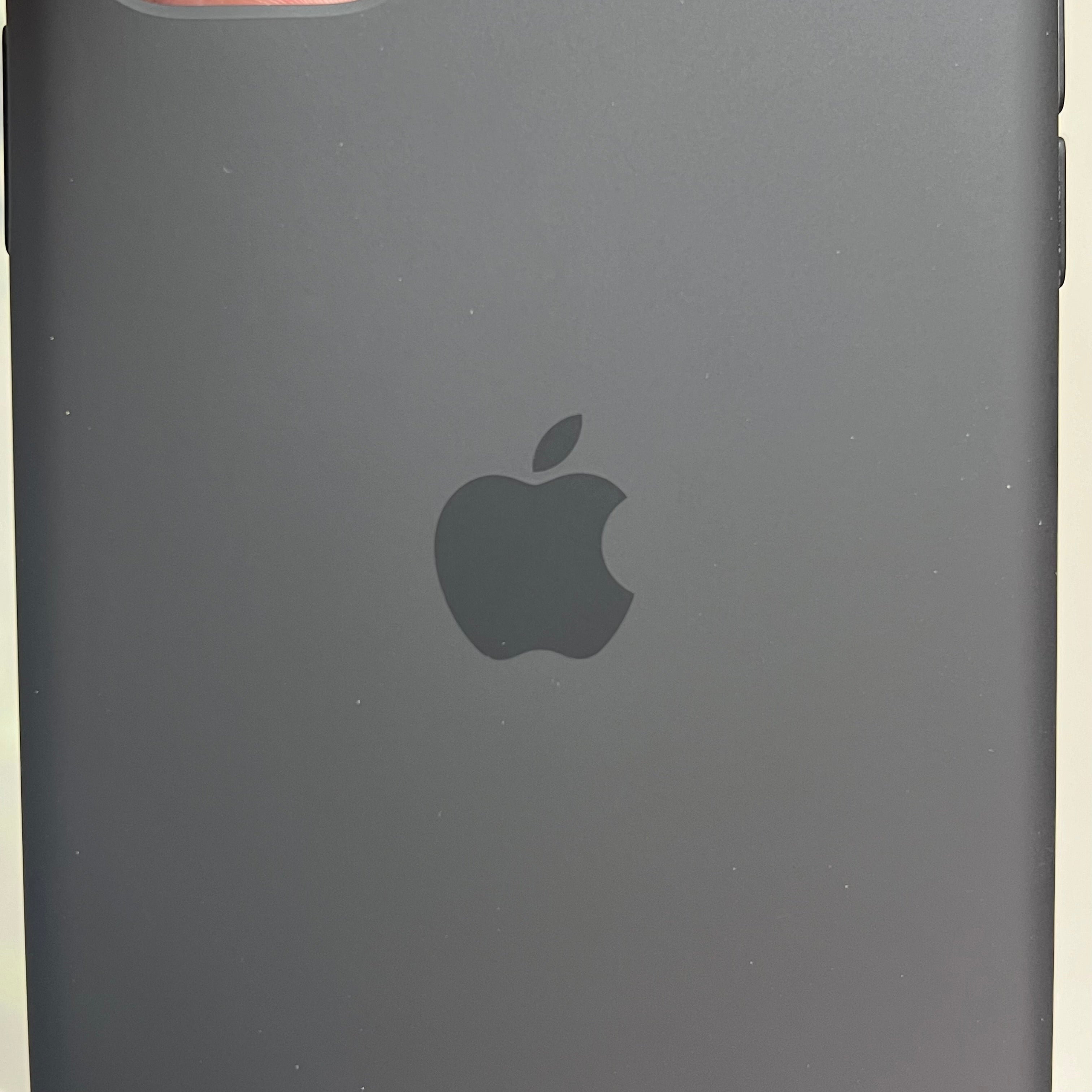 APPLE iPhone 11 Silicone Case Microfiber Lined Case Black MWVU2ZM/A (Return)