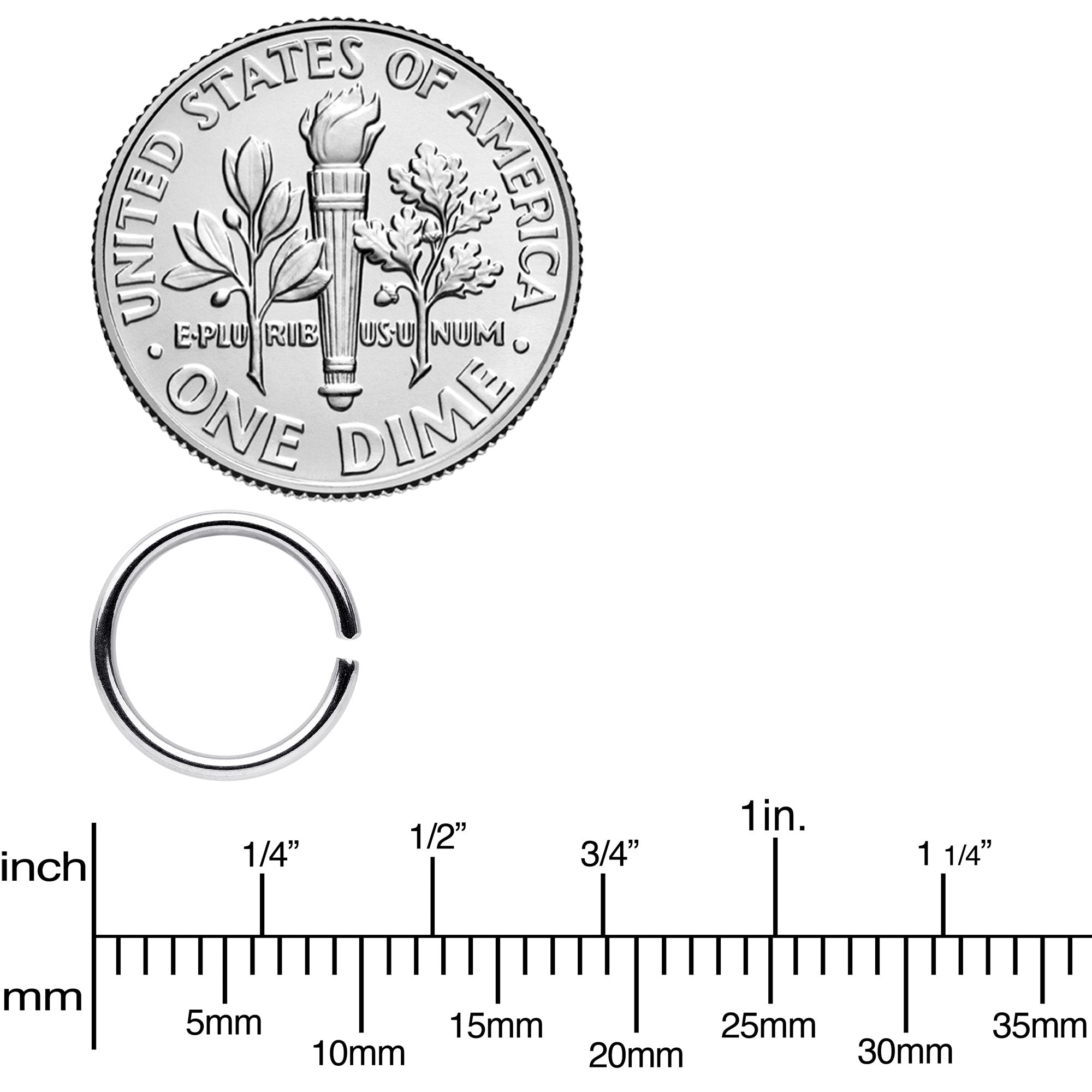 18G 5/16 Steel Rainbow Anodized Seamless Circular Ring Set of 12
