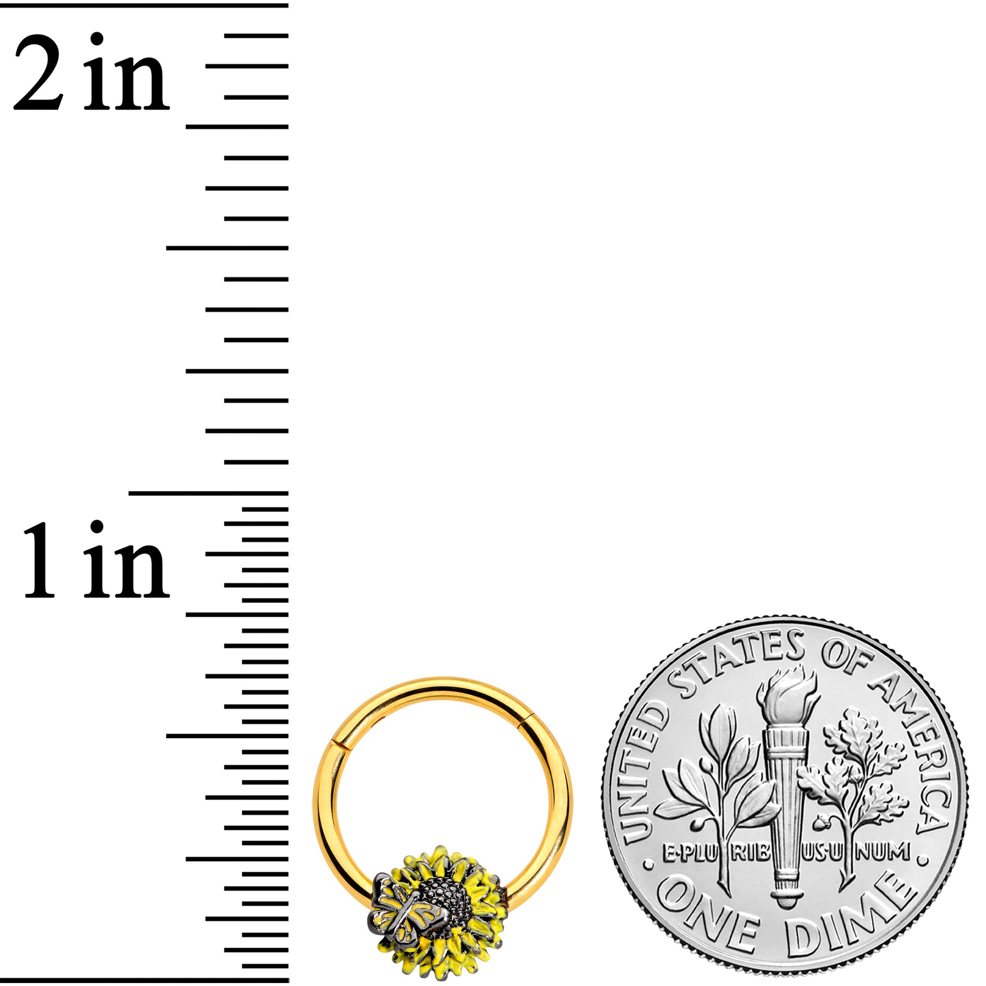 16G 3/8 Gold Tone Sunflower Butterfly Hinged Segment Ring
