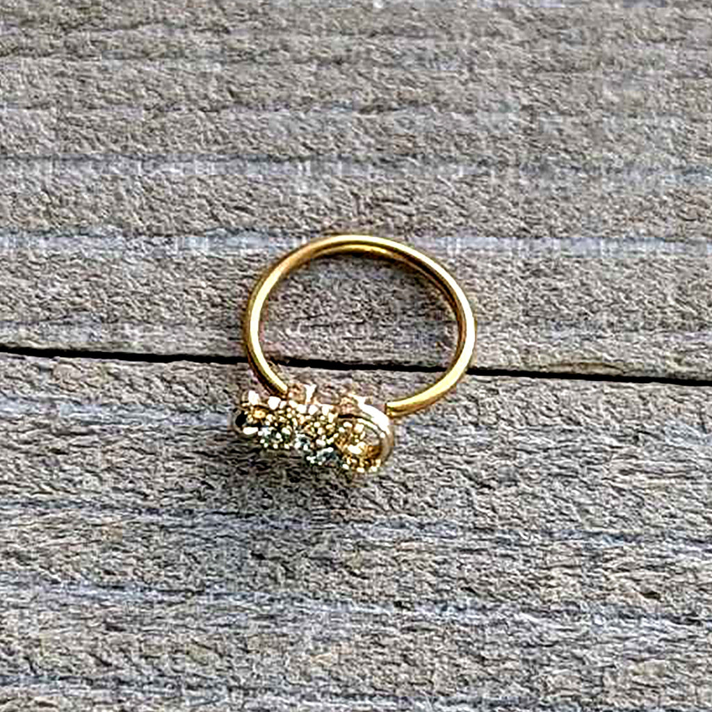 20G 5/16 Clear Gem Gold Tone Luscious Lizard Nose Hoop