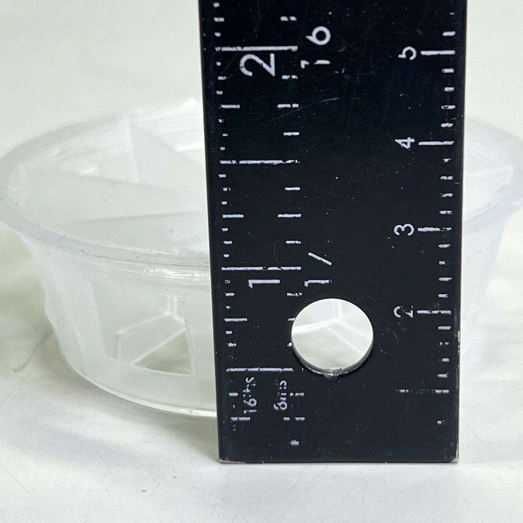 (10 PACK) Plastic Random Packing Cascade Ring Sz 3" D X 1" H White