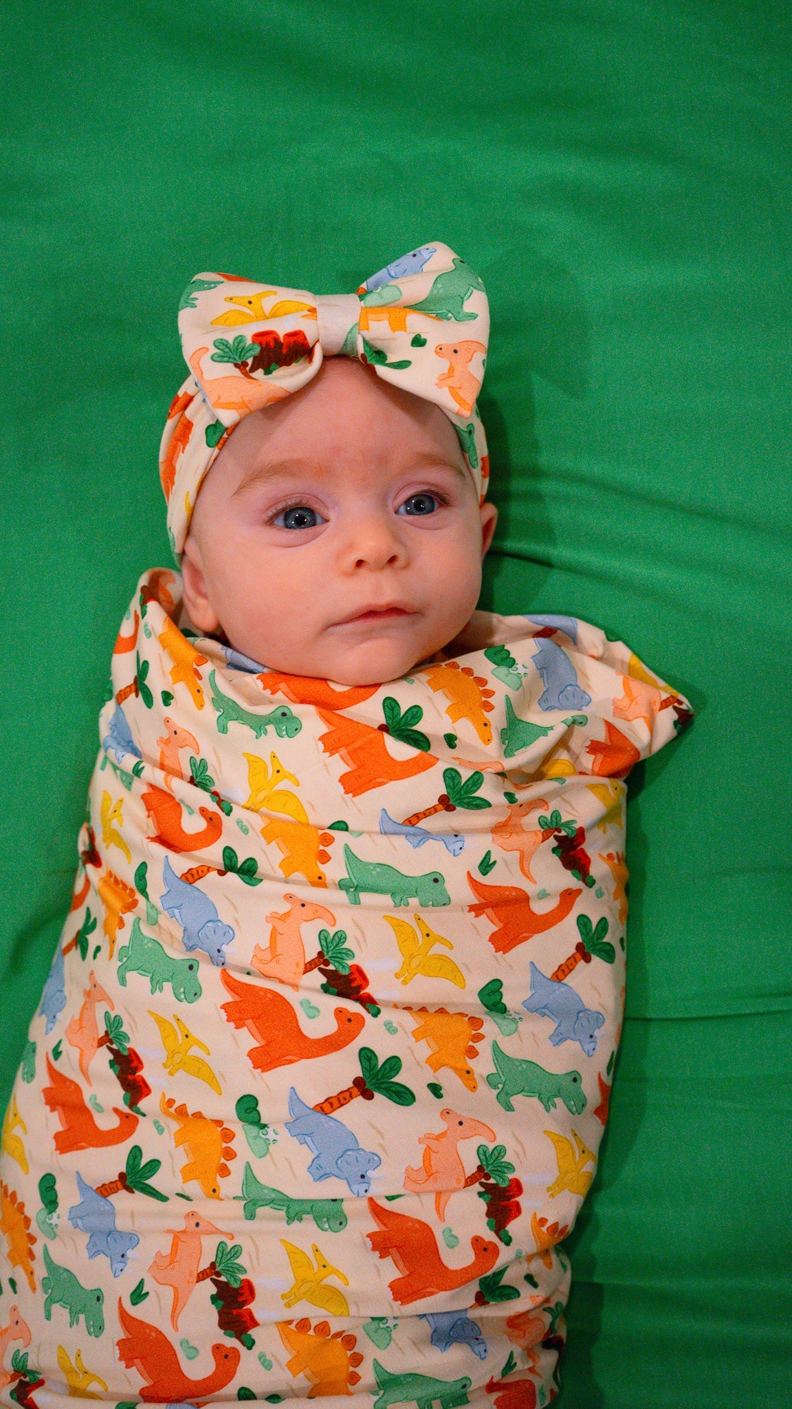 DinoSnores Swaddle