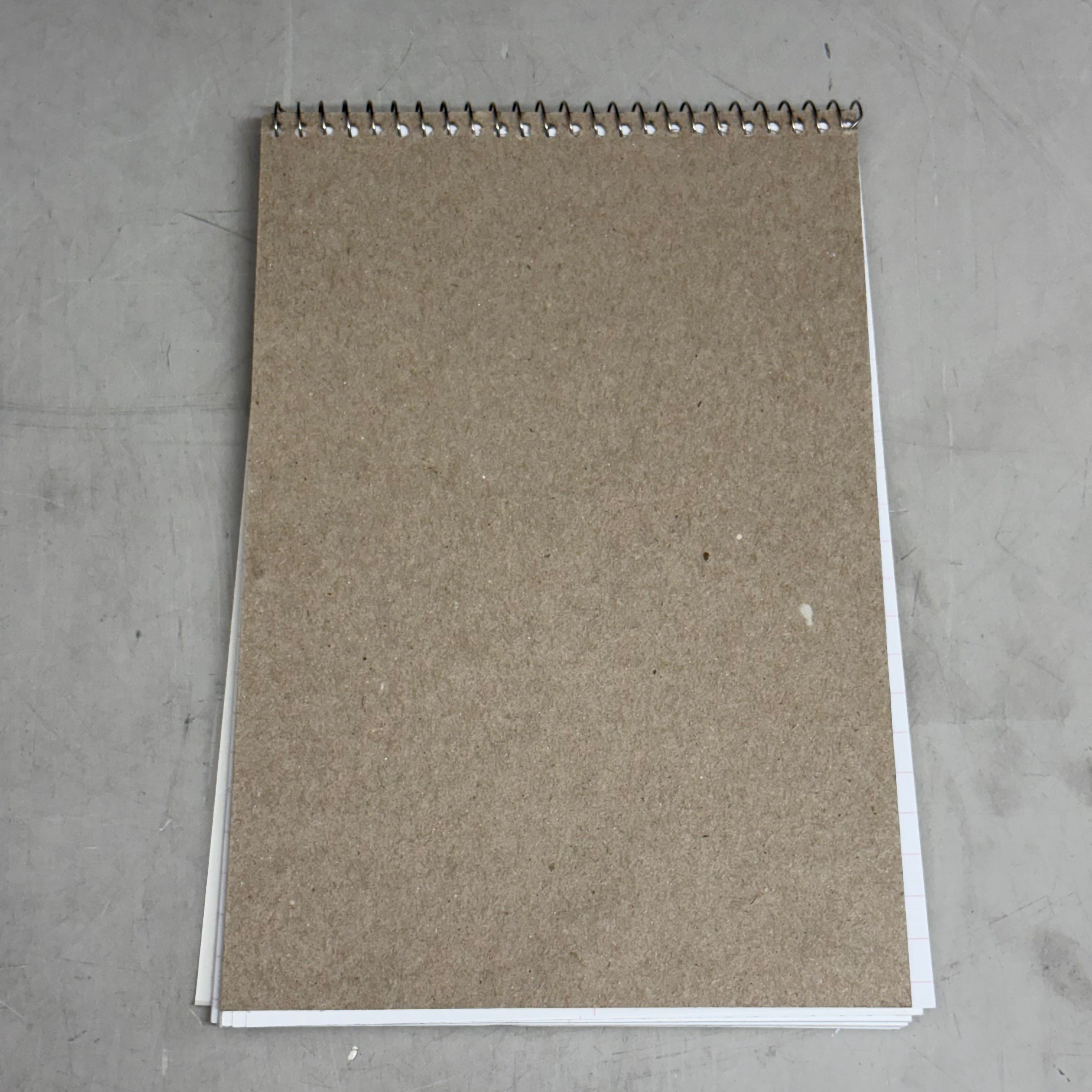 SKILLCRAFT (12 PACK, 80 Sheets Each) Steno Notebook Excutive Gregg Ruled 6" x 9" 7530