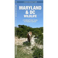Maryland & DC Wildlife: A Folding Pocket Guide to Familiar Animals - Loose Leaf