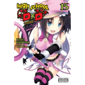 High School DXD, Vol. 15 (Light Novel): Dark Knight of Sunshine - Paperback