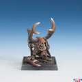 Reaper Legends: Goblin Shaman