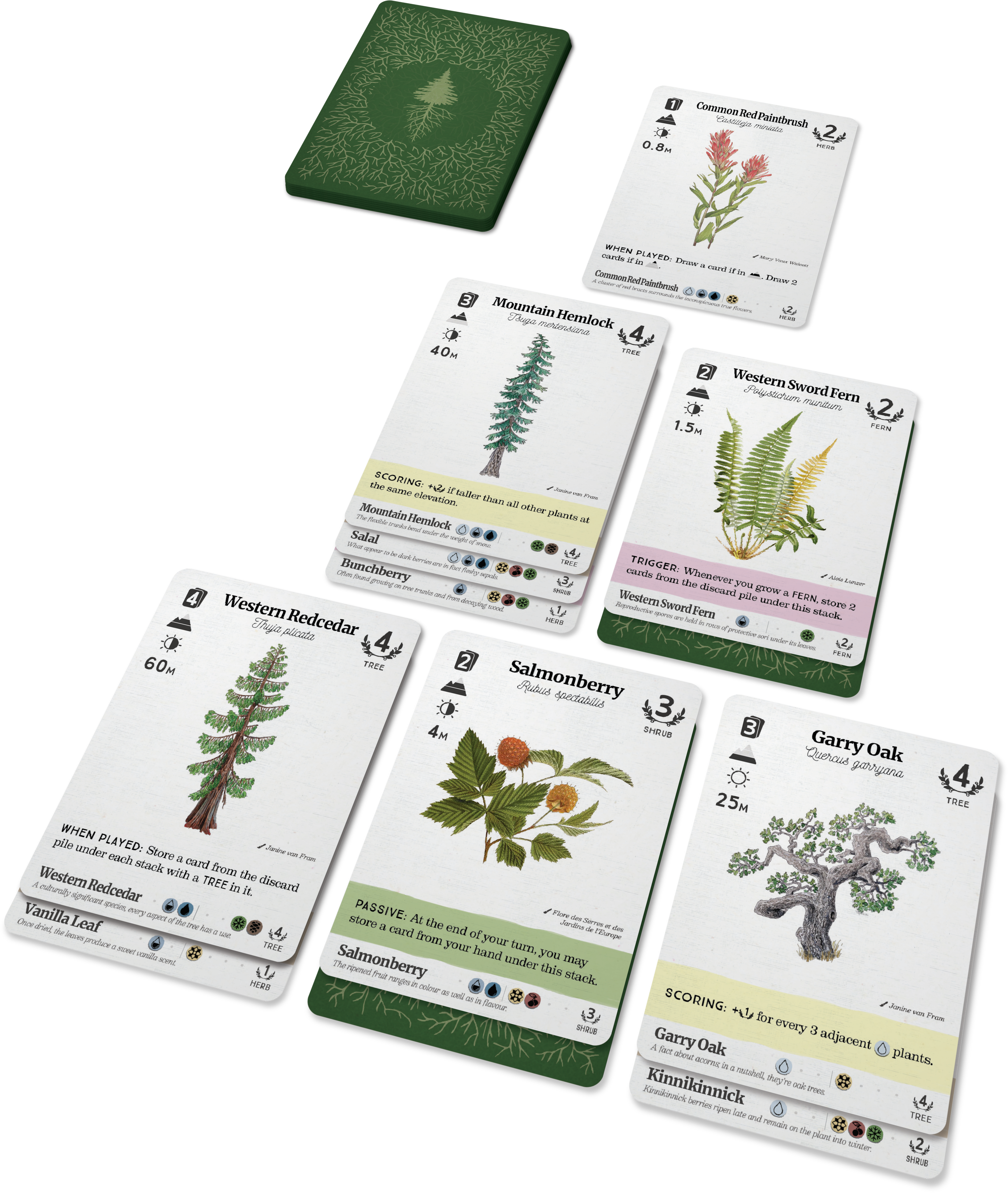 Reforest: Plants of the Pacific Northwest Coast