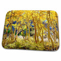 Dish Drying Mat - USA, California, Sierra Nevada Mountains. Fall colors of Aspen trees. Autumn