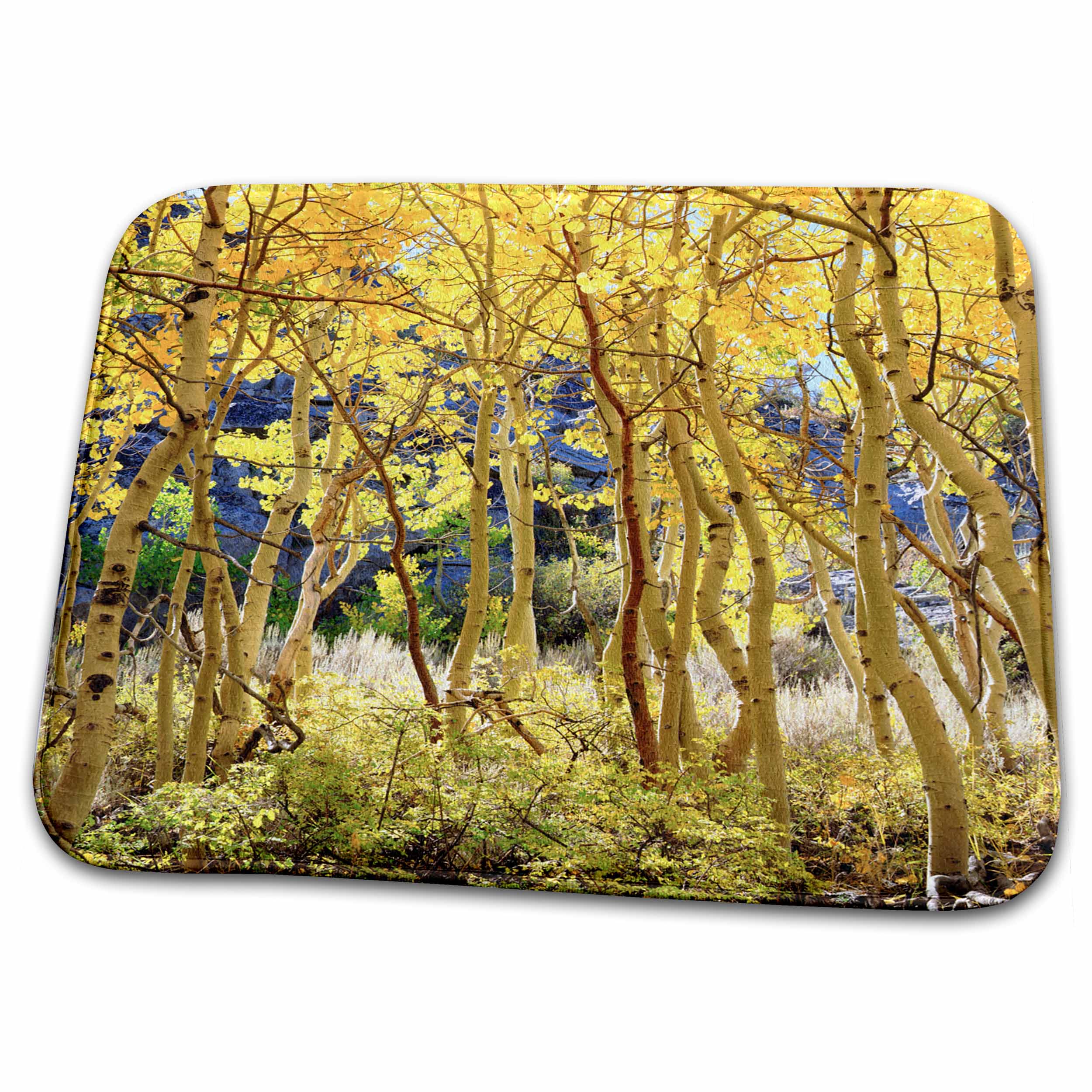 Dish Drying Mat - USA, California, Sierra Nevada Mountains. Fall colors of Aspen trees. Autumn