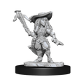 Pathfinder: Deep Cuts - Gnome Bard Female