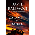 Calamity of Souls - Hardcover