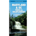 Maryland & DC Trees & Wildflowers: A Folding Pocket Guide to Familiar Plants - Hardcover