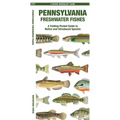Pennsylvania Freshwater Fishes: A Folding Pocket Guide to Native and Introduced Species