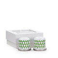Golden Rabbit green scallop enamelware salt and pepper shaker set