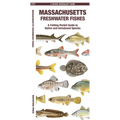 Massachusetts Freshwater Fishes: A Folding Pocket Guide to Native and Introduced Species - Paperback