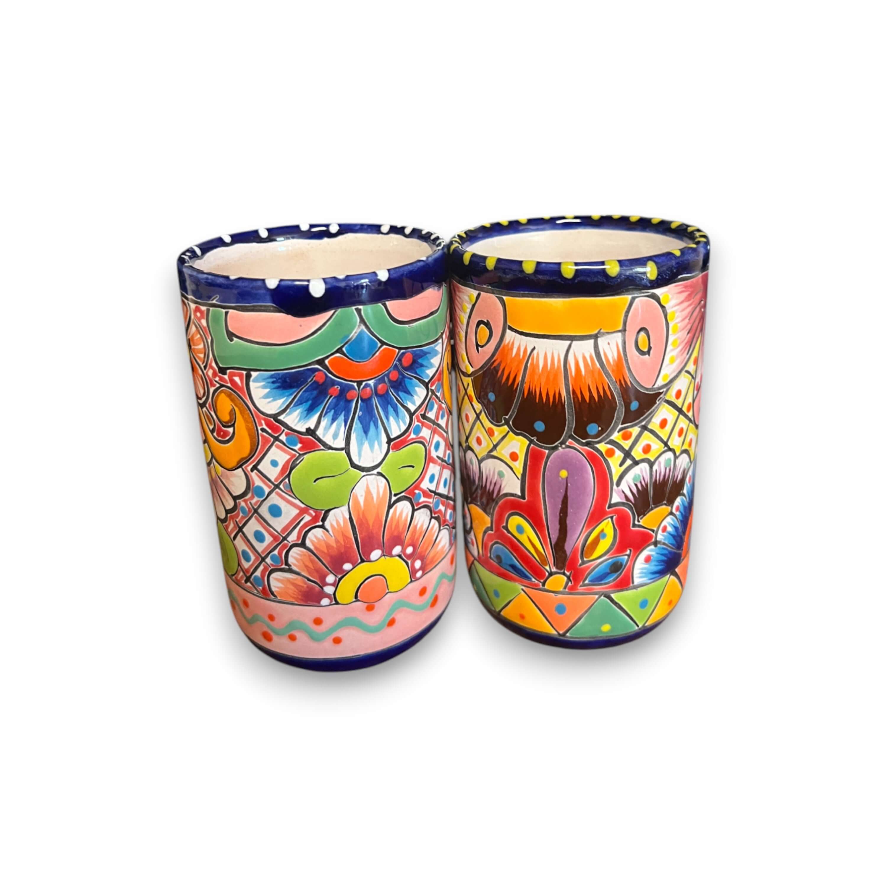 Talavera Tumbler Cup | Hand-Painted Mexican Ceramic Glass