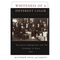 Whiteness of a Different Color: European Immigrants and the Alchemy of Race - Paperback