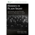 Hidden in Plain Sight - Paperback