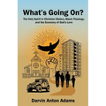 What's Going On?: The Holy Spirit in Christian History, Black Theology, and the Economy of God's Love - Paperback