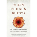 When the Sun Bursts: The Enigma of Schizophrenia - Paperback