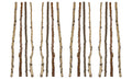 CREATIVECO-OP (16 Pcs) Long Wood Birch Branch 59"L Wood DA3953