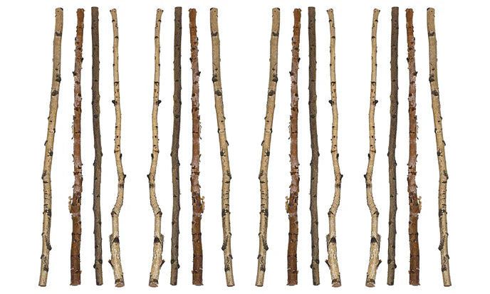 CREATIVECO-OP (16 Pcs) Long Wood Birch Branch 59"L Wood DA3953