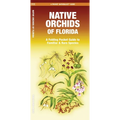 Native Orchids of Florida: A Folding Pocket Guide to Familiar and Rare Species - Paperback